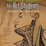 خرید و دانلود نسخه کامل کتاب Anatomical Diagrams For The Use Of Art Students