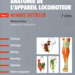 خرید و دانلود نسخه کامل کتاب Anatomie de l’appareil locomoteur. 1: Membre inferieur