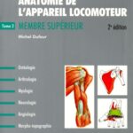 خرید و دانلود نسخه کامل کتاب Anatomie de l’appareil locomoteur. 2: Membre superieur