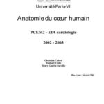 خرید و دانلود نسخه کامل کتاب Anatomie du coeur humain