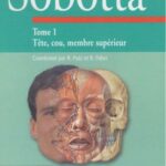 خرید و دانلود نسخه کامل کتاب Anatomie humaine – Sobotta vol 1