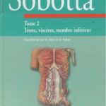 خرید و دانلود نسخه کامل کتاب Anatomie humaine – Sobotta vol 2