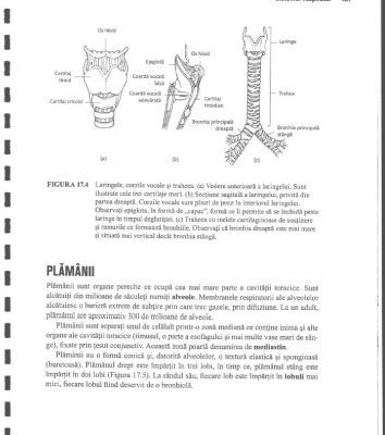 خرید و دانلود نسخه کامل کتاب Anatomie Si Fiziologie Umana Pentru Admitere La Facultatile de Medicina Partea 3 Anatomia Omului
