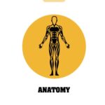خرید و دانلود نسخه کامل کتاب Anatomy: A Crash Course