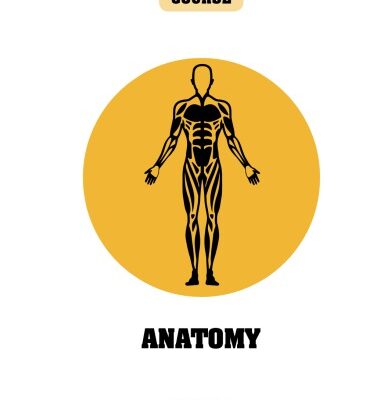 خرید و دانلود نسخه کامل کتاب Anatomy: A Crash Course
