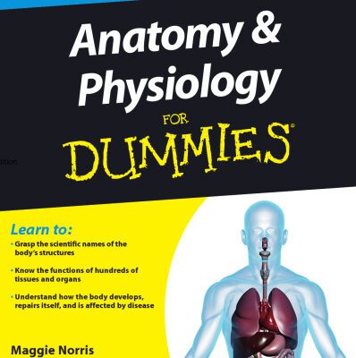 خرید و دانلود نسخه کامل کتاب Anatomy and Physiology For Dummies