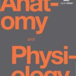 خرید و دانلود نسخه کامل کتاب Anatomy and Physiology Student Solution Guide
