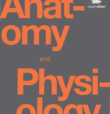 خرید و دانلود نسخه کامل کتاب Anatomy and Physiology Student Solution Guide
