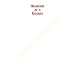 خرید و دانلود نسخه کامل کتاب Anatomy at a Glance