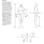خرید و دانلود نسخه کامل کتاب Anatomy coloring book
