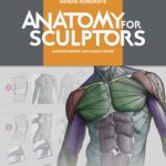 خرید و دانلود نسخه کامل کتاب Anatomy for Sculptors, Understanding the Human Figure