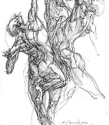 خرید و دانلود نسخه کامل کتاب Anatomy for the Artist