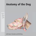 خرید و دانلود نسخه کامل کتاب Anatomy of the Dog: An Illustrated Text