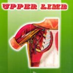 خرید و دانلود نسخه کامل کتاب Anatomy of Upper Limb