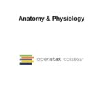 خرید و دانلود نسخه کامل کتاب Anatomy & Physiology