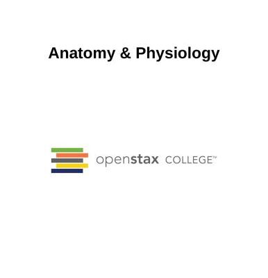 خرید و دانلود نسخه کامل کتاب Anatomy & Physiology