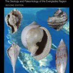 خرید و دانلود نسخه کامل کتاب Ancient Seas of Southern Florida: The Geology and Paleontology of the Everglades Region