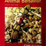 خرید و دانلود نسخه کامل کتاب Animal Behavior: An Evolutionary Approach
