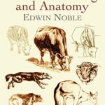 خرید و دانلود نسخه کامل کتاب Animal Drawing and Anatomy