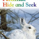 خرید و دانلود نسخه کامل کتاب Animal Hide and Seek (DK READERS)