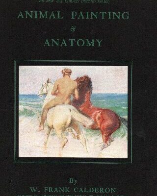 خرید و دانلود نسخه کامل کتاب Animal Painting and Anatomy