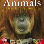 خرید و دانلود نسخه کامل کتاب Animals: A Visual Encyclopedia