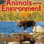 خرید و دانلود نسخه کامل کتاب Animals and the Environment (First Step Nonfiction)
