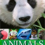 خرید و دانلود نسخه کامل کتاب Animals Around the World