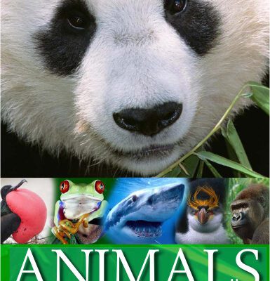 خرید و دانلود نسخه کامل کتاب Animals Around the World