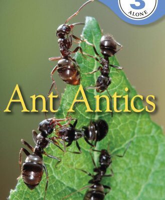 خرید و دانلود نسخه کامل کتاب Ant Antics (DK READERS)