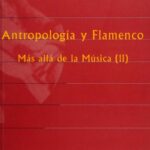 خرید و دانلود نسخه کامل کتاب Antropología y Flamenco: Más allá de la Música (II) : Identidad, Género y Trabajo