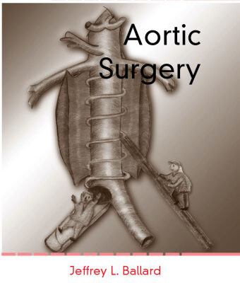 خرید و دانلود نسخه کامل کتاب Aortic Surgery
