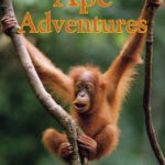 خرید و دانلود نسخه کامل کتاب Ape Adventures