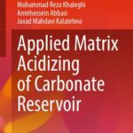 خرید و دانلود نسخه کامل کتاب Applied Matrix Acidizing of Carbonate Reservoir