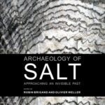 خرید و دانلود نسخه کامل کتاب Archaeology of Salt: Approaching an Invisible Past