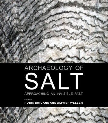 خرید و دانلود نسخه کامل کتاب Archaeology of Salt: Approaching an Invisible Past