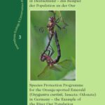 خرید و دانلود نسخه کامل کتاب Artenschutzprogramm für die gekielte Smaragdlibelle: Oxygastra Curtisii, Insecta: Odonata in Deutschland – das Beispiel der Population an der Our (Invertebrate … & Conservation Monographs)