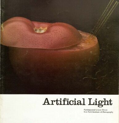خرید و دانلود نسخه کامل کتاب Artificial Light