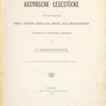 خرید و دانلود نسخه کامل کتاب Assyrische Lesestücke nach den Originalen teils revidiert teils zum ersten Mal herausgegeben
