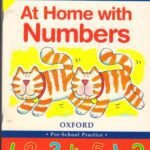 خرید و دانلود نسخه کامل کتاب At Home with Numbers