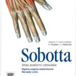 خرید و دانلود نسخه کامل کتاب Atlas anatomii człowieka Sobotta cz. 1 Ogólne pojecia anatomiczne. Narządy ruchu.