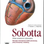 خرید و دانلود نسخه کامل کتاب Atlas anatomii człowieka Sobotta cz. 2 Narządy wewnętrzne klatki piersiowej, jamy brzusznej i miednicy