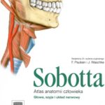 خرید و دانلود نسخه کامل کتاب Atlas anatomii człowieka Sobotta cz. 3 Głowa, szyja i układ nerwowy