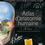 خرید و دانلود نسخه کامل کتاب Atlas d’anatomie humaine