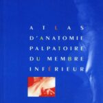 خرید و دانلود نسخه کامل کتاب Atlas d’anatomie palpatoire – membre inferieur