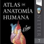 خرید و دانلود نسخه کامل کتاب Atlas de anatomía humana (Spanish Edition) 7th Edition –  +  Pdf