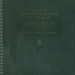 خرید و دانلود نسخه کامل کتاب Atlas of Cross Section Anatomy of the Brain