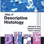 خرید و دانلود نسخه کامل کتاب Atlas of Descriptive Histology BY Ross – Image Pdf