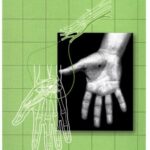 خرید و دانلود نسخه کامل کتاب Atlas of Electromyography