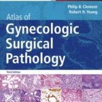 خرید و دانلود نسخه کامل کتاب Atlas of Gynecologic Surgical Pathology